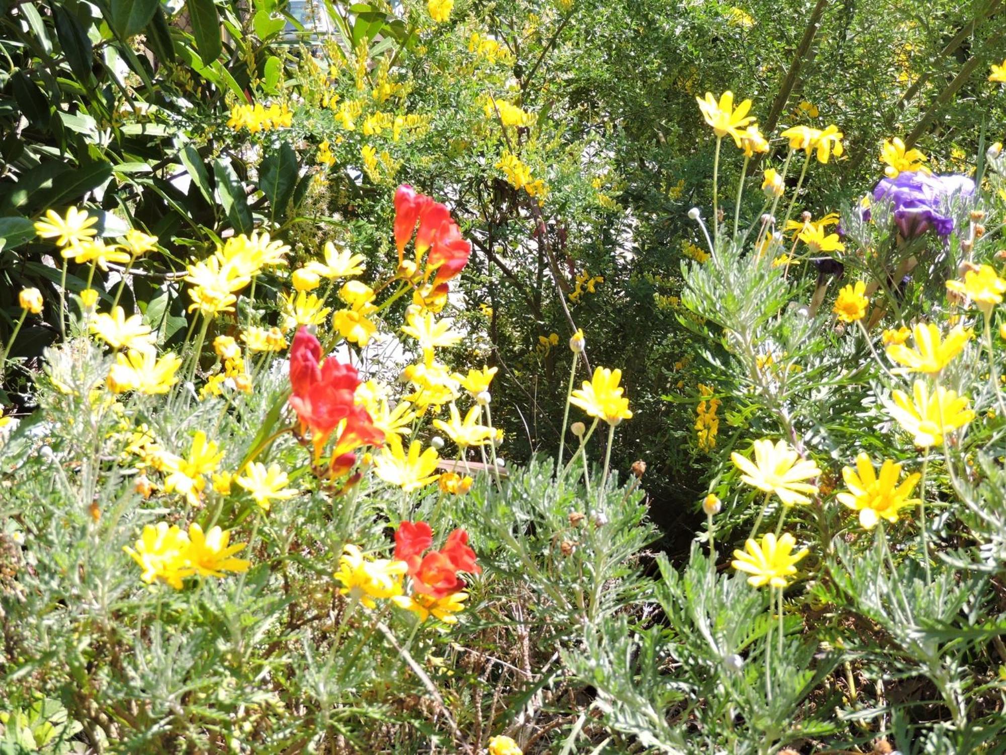 רונצ'יליונה Casale Fedele Family Relax B&B Vicino Al Borgo מראה חיצוני תמונה